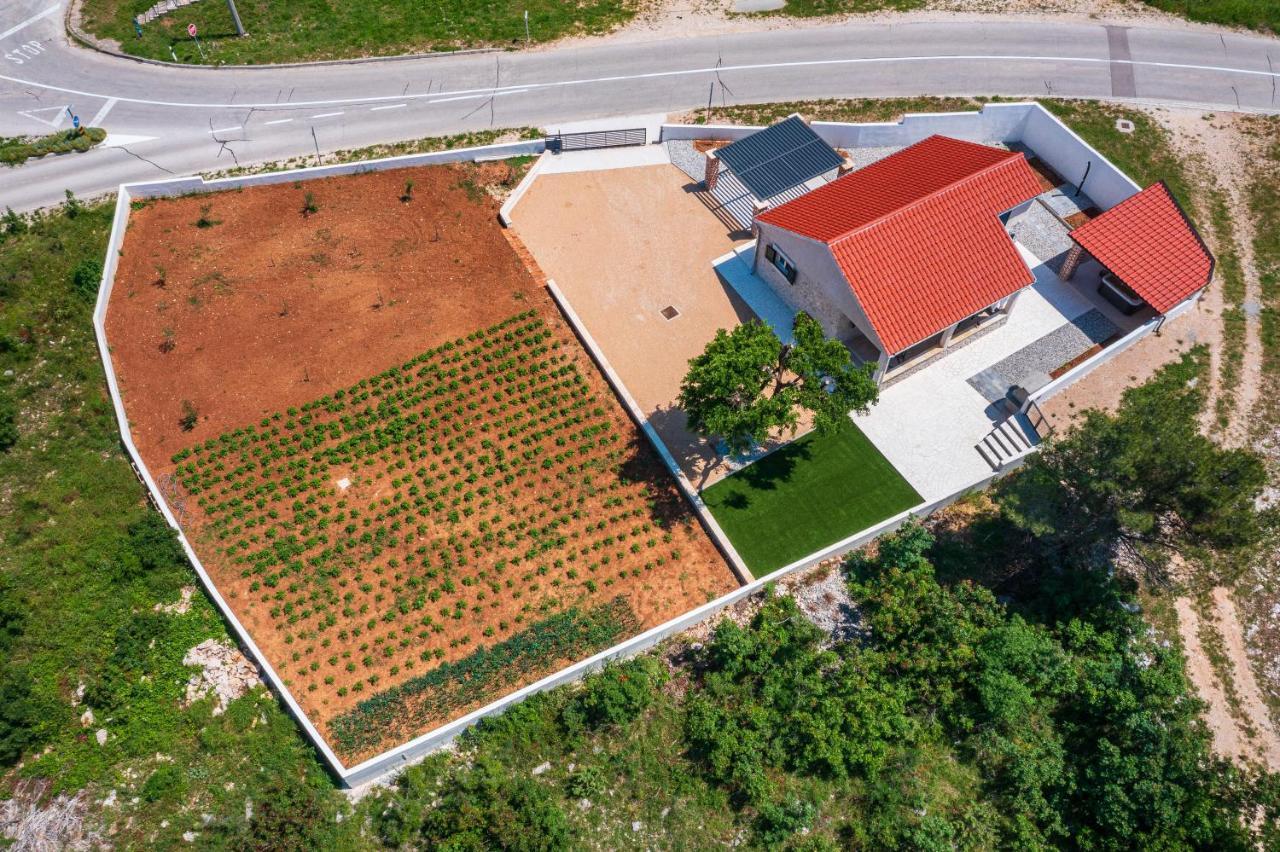 Holiday Home Figurica Novigrad  Εξωτερικό φωτογραφία