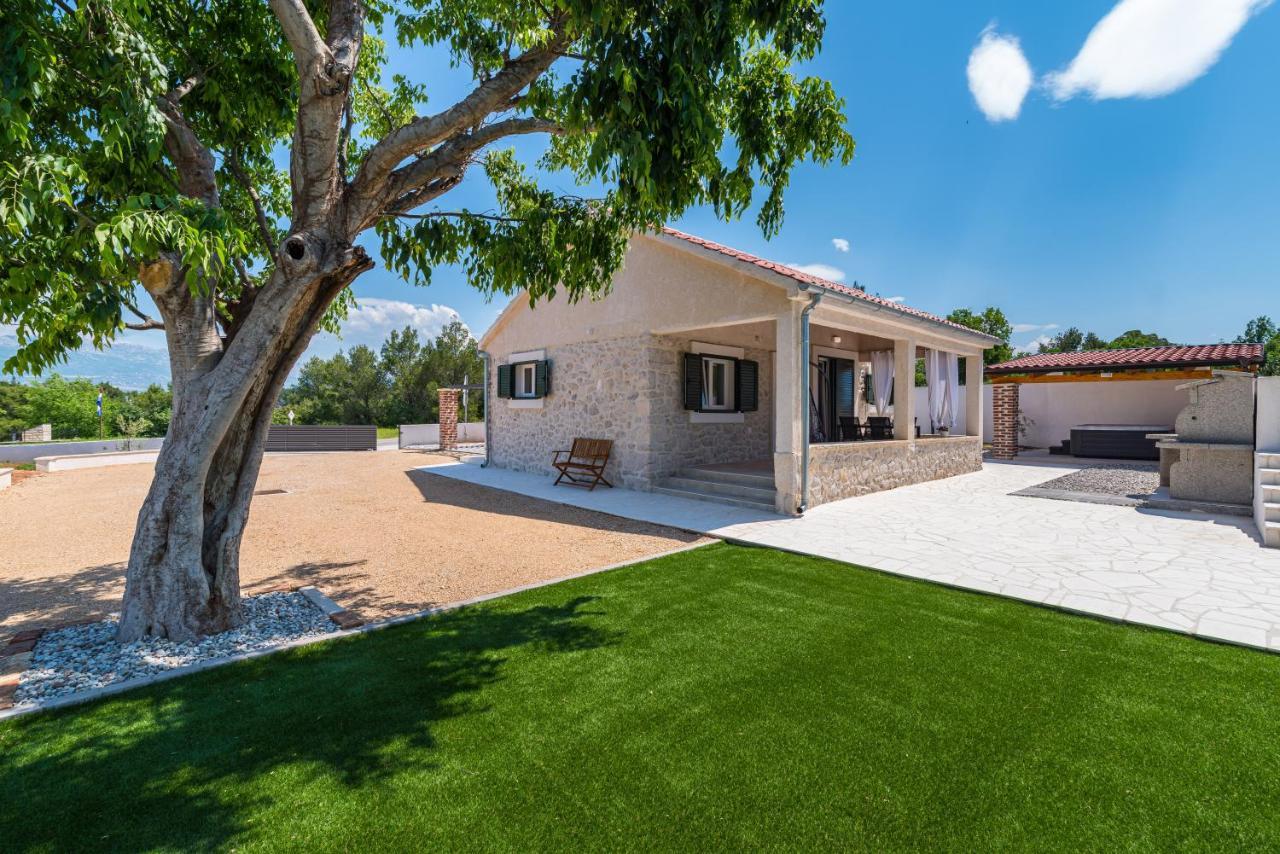 Holiday Home Figurica Novigrad  Εξωτερικό φωτογραφία