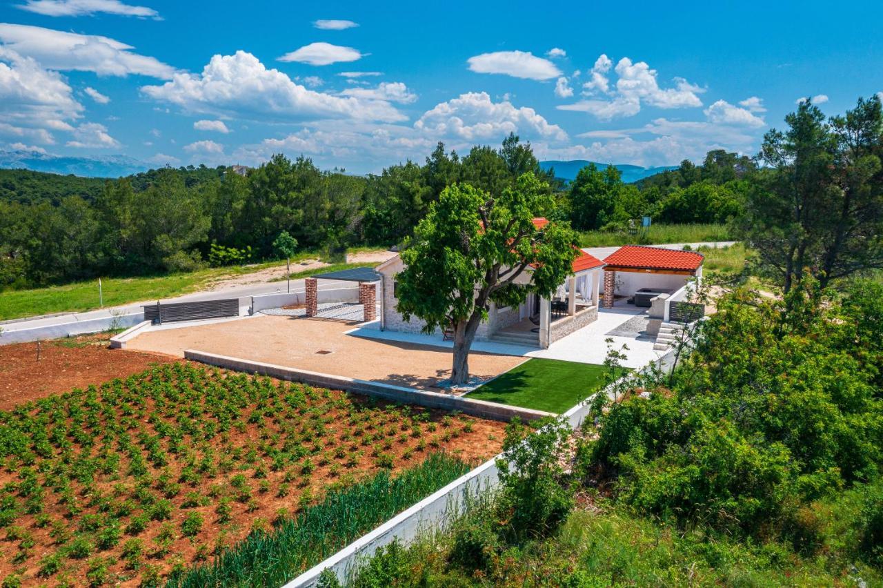 Holiday Home Figurica Novigrad  Εξωτερικό φωτογραφία
