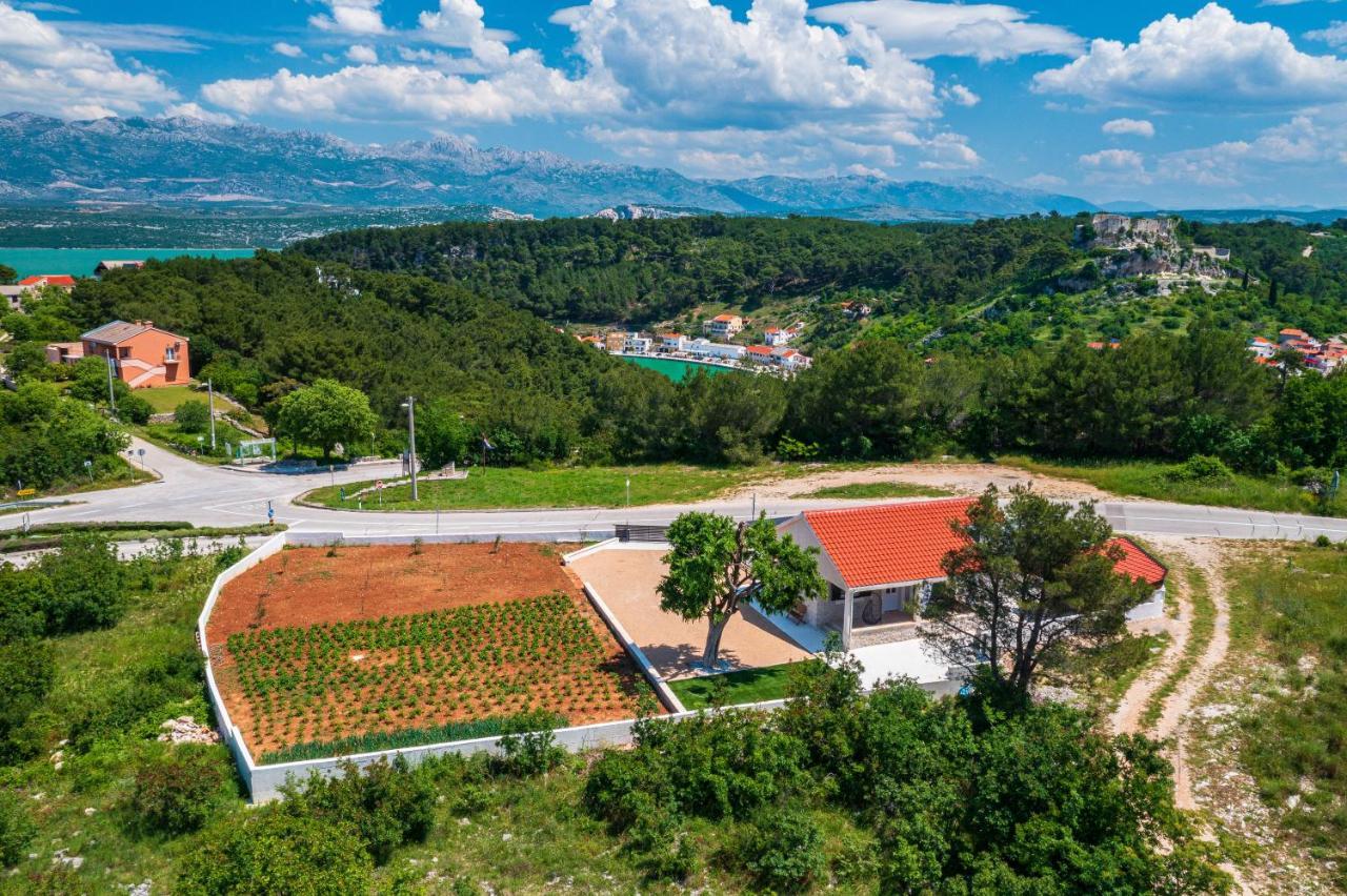 Holiday Home Figurica Novigrad  Εξωτερικό φωτογραφία